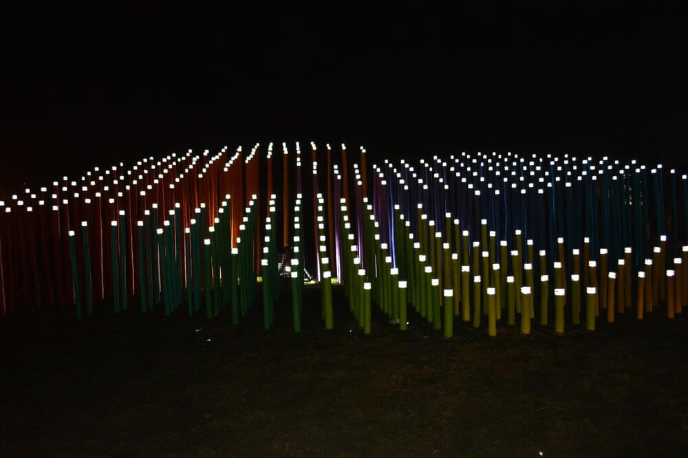 Bamboo Installation, Kolkata photo