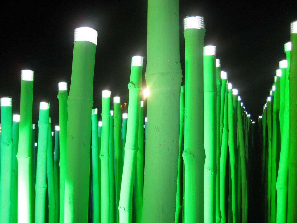 Bamboo Pavilion, Bansberia photo