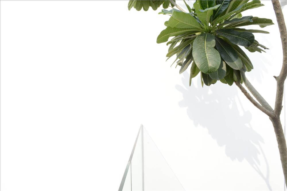 Pool House, Adisaptagram photo