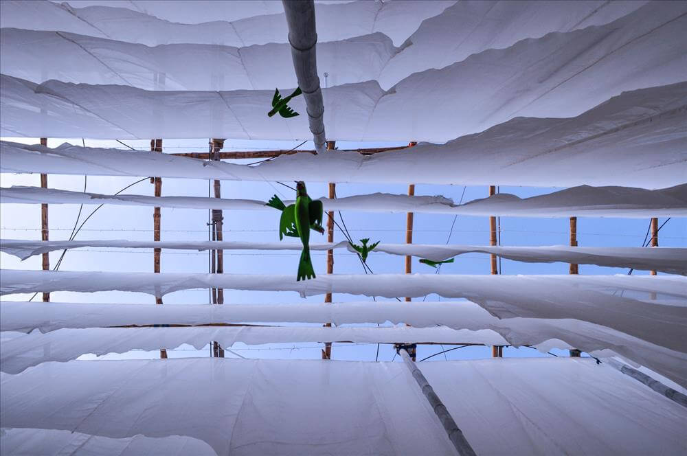 Pavilion of Canopies, Bansberia photo