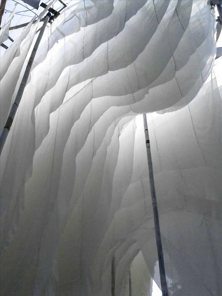 Pavilion of Canopies, Bansberia photo