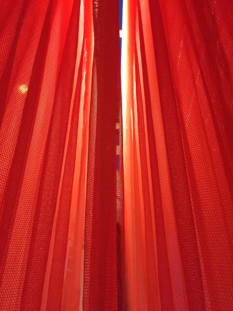 Treading the Mist, Kolkata photo