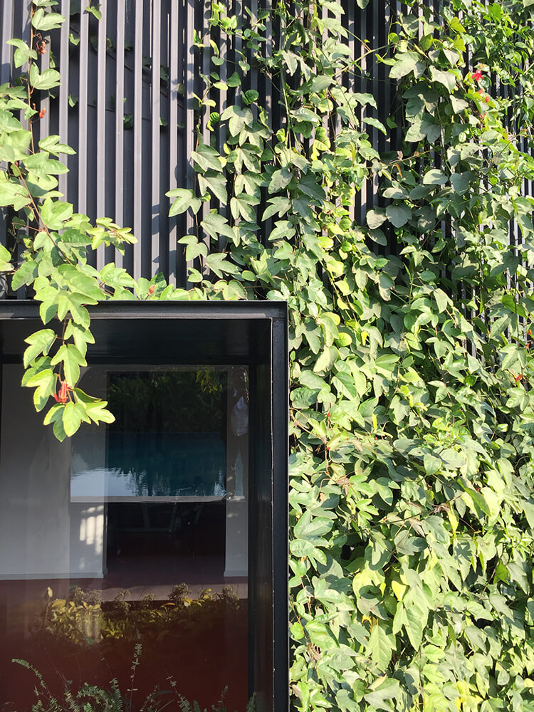 House of Sweeping Shadows photo