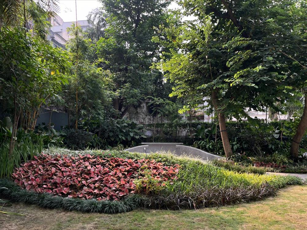 Alipur White House landscape photo