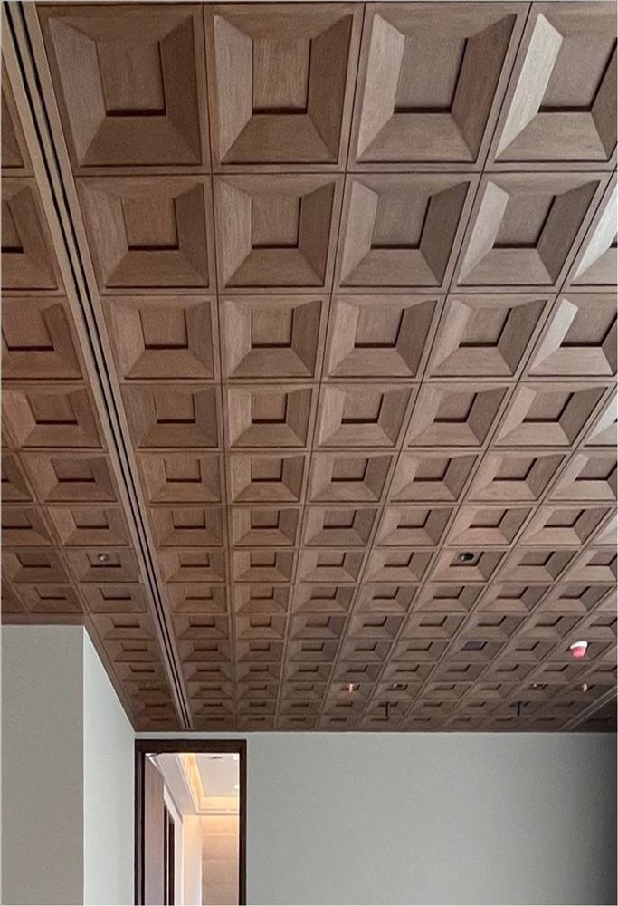 Altamira Penthouse photo